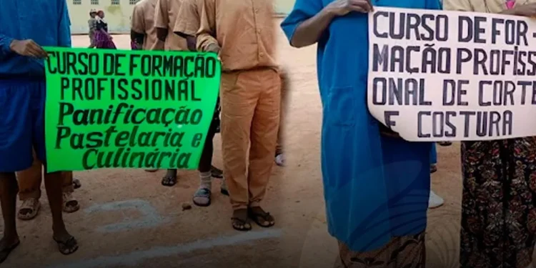 Cem reclusos terminam cursos profissionais na Huíla