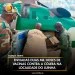 Enviadas duas mil doses de vacinas contra a cólera na localidade do Luinha