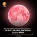 Mundo regista fenômeno da lua rosa