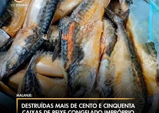 Destruídas mais de cento e cinquenta caixas de peixe congelado impróprio para o consumo