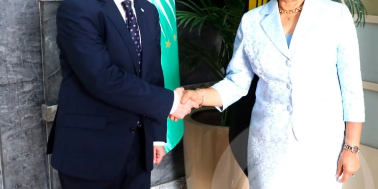 Secretária de Estado recebe Cartas Figuradas do novo embaixador da Ucrânia em Angola