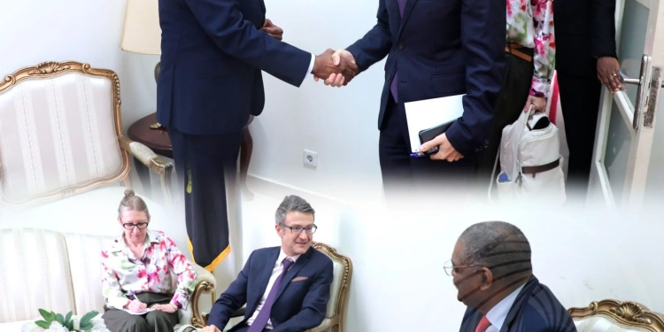 Angola e Sérvia reforçam cooperação bilateral