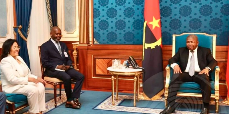 PR João Lourenço concede audiência à directora executiva da AUDA-NEPAD