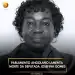 Parlamento angolano lamenta morte da deputada Josefina Gomes