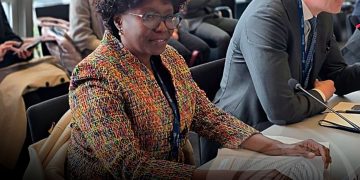 Ministra da Saúde apresenta estratégias de Angola contra arboviroses na Assembleia Mundial da Saúde