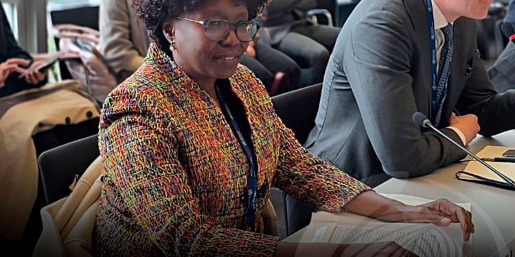 Ministra da Saúde apresenta estratégias de Angola contra arboviroses na Assembleia Mundial da Saúde
