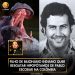 Filho de bilionário indiano quer resgatar hipopótamos de Pablo Escobar na Colômbia