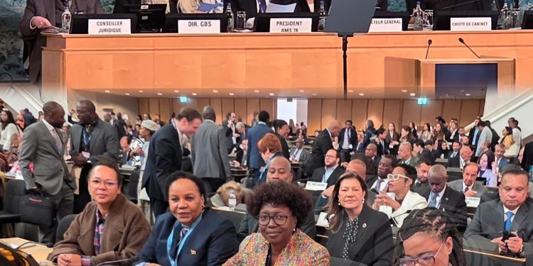 Missão Permanente de Angola destaca participação na Assembleia Mundial da Saúde em Genebra